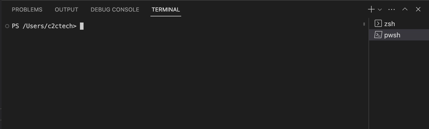 PowerShell Terminal